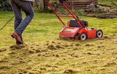 Skarifikator ya aerator? Hər şey bağ üçün! Skarifikator ya aerator? Hər şey bağ üçün!