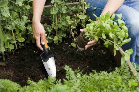 Bel Fiskars 1000726