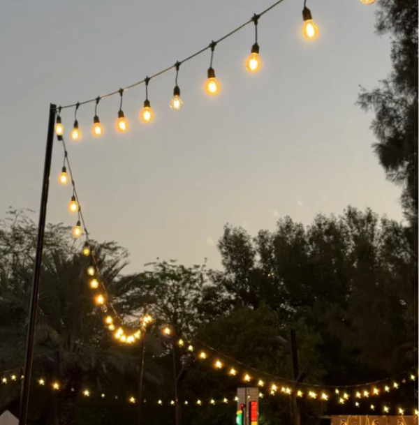 Dekorativ led işığı (300 lampa) Modi HWW3001