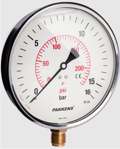 Manometr gliserin dolğulu Pakkens (0-25 Bar 160 mm) 1601001109