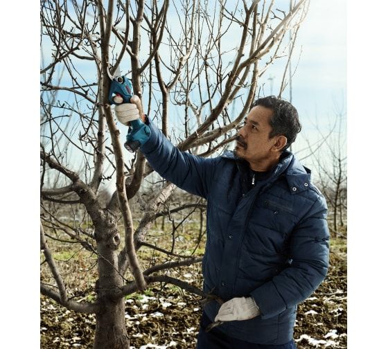 Ağacbudayan akkumulyatorlu Bosch Pro Pruner 06019K1020