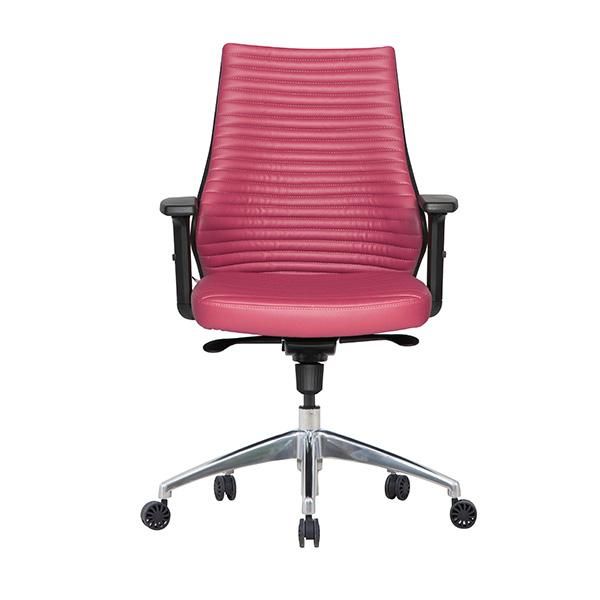 Кресло для офиса Casella Comfort Plus CMF 25